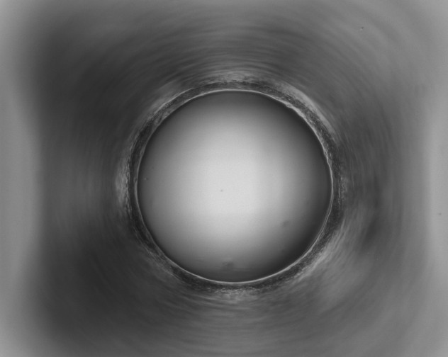 X0000102500778200808081348