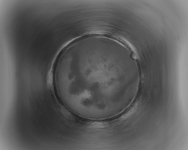 X0000102500779200808081348