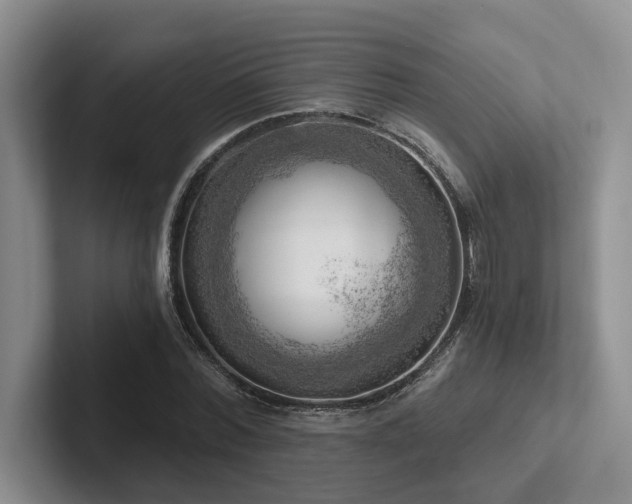 X0000102500780200808081348