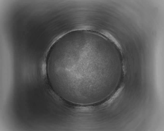 X0000102500781200808081348