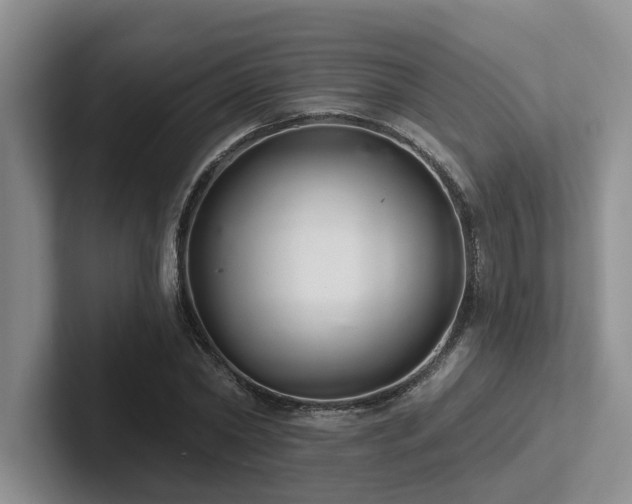 X0000102500782200808081348