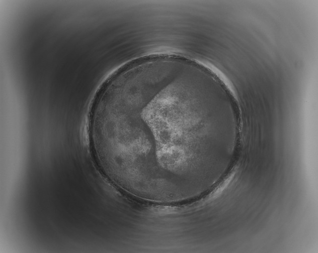 X0000102500783200808081348