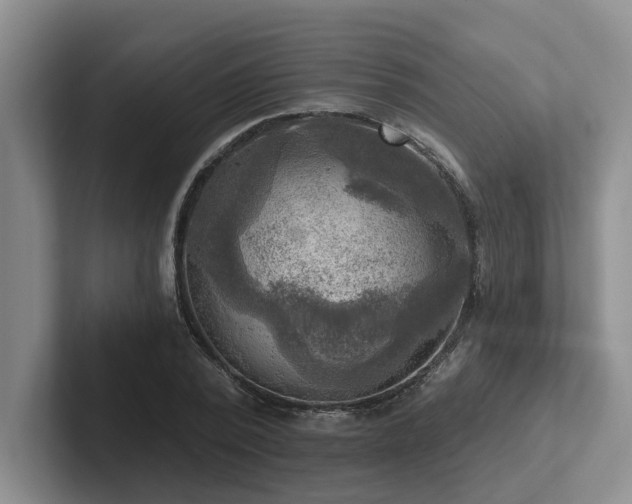 X0000102500784200808081348