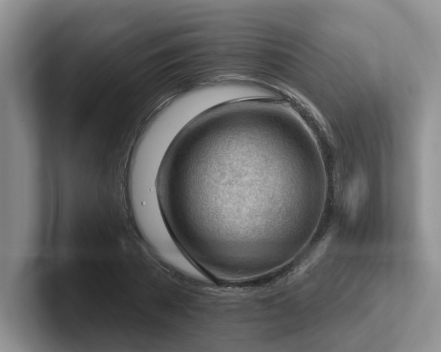 X0000102500785200808081348