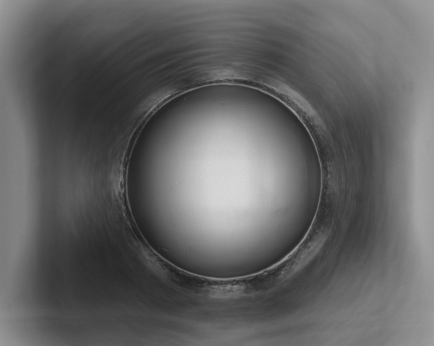 X0000102500793200808081348