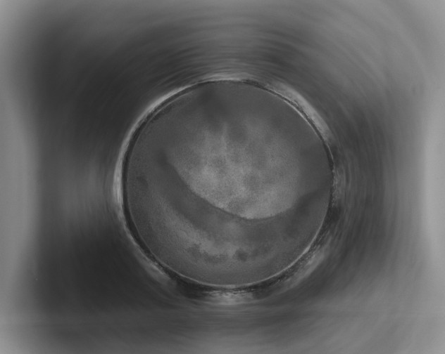 X0000102500795200808081348