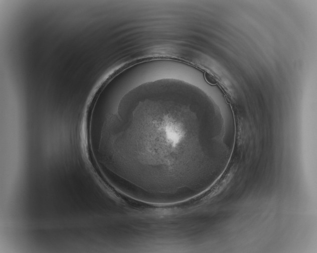 X0000102500796200808081348