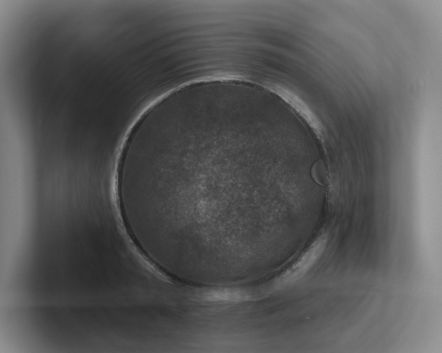 X0000102500797200808081348