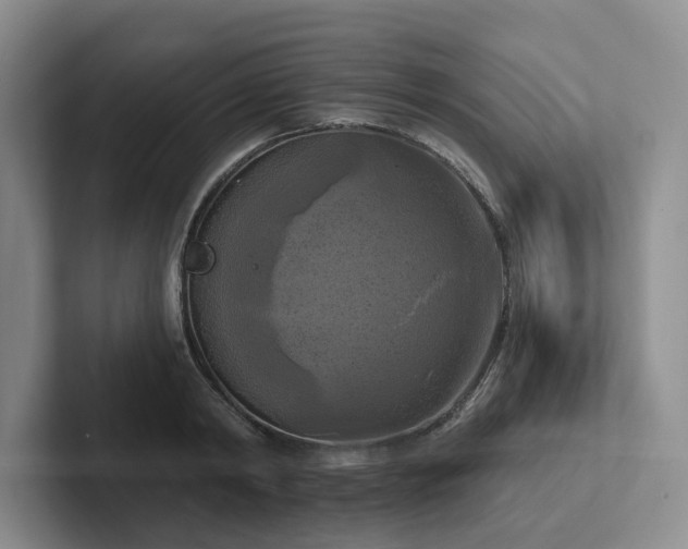 X0000102500798200808081348