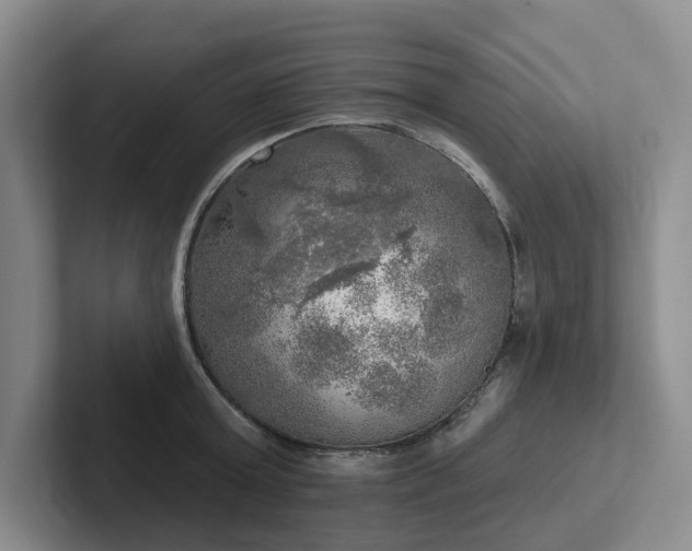 X0000102500803200808081348