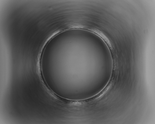 X0000102500806200808081348