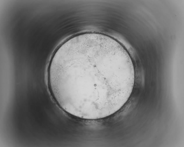 X0000102500807200808081348