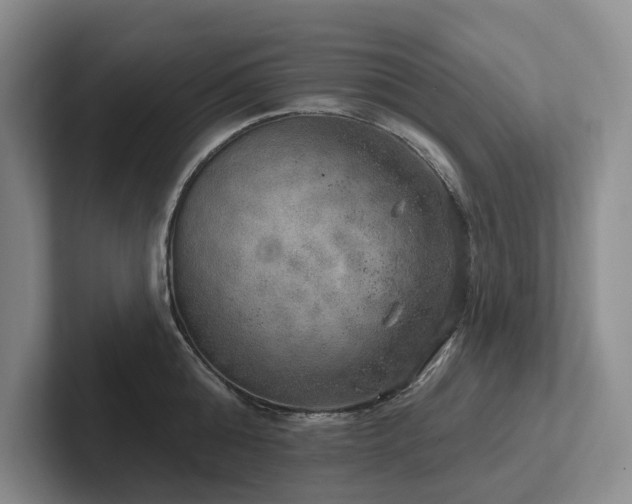 X0000102500808200808081348