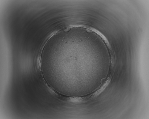 X0000102500809200808081348