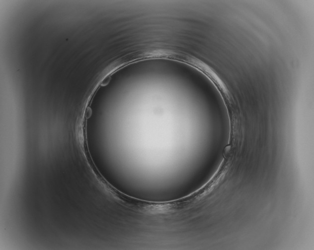 X0000102500810200808081347