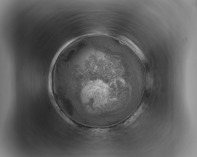 X0000102500812200808081347