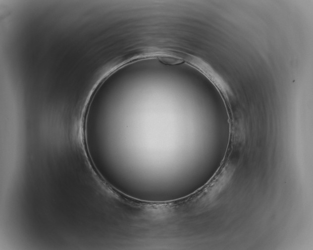 X0000102500813200808081347
