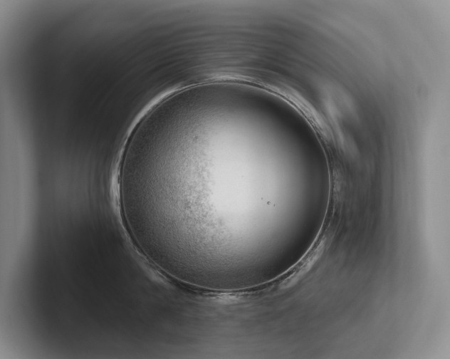 X0000102500814200808081347