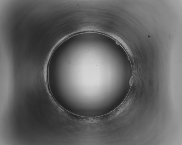 X0000102500815200808081347