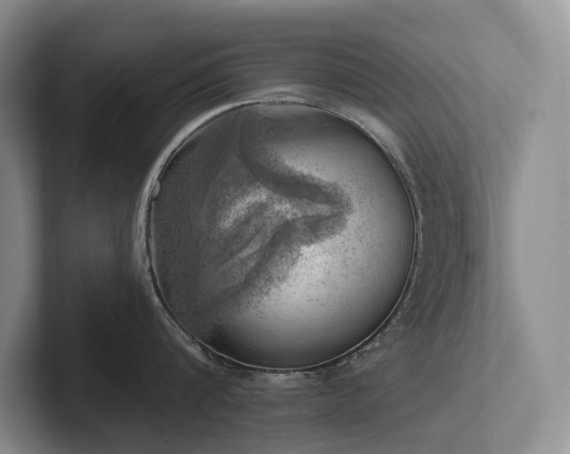 X0000102500816200808081347