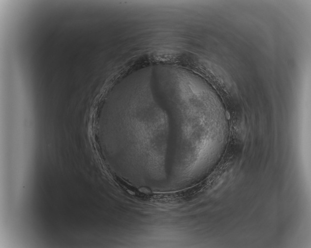X0000102500817200808081347
