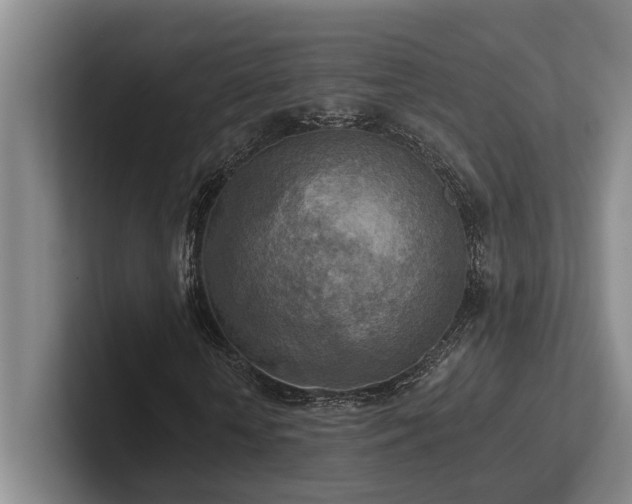 X0000102500818200808081347