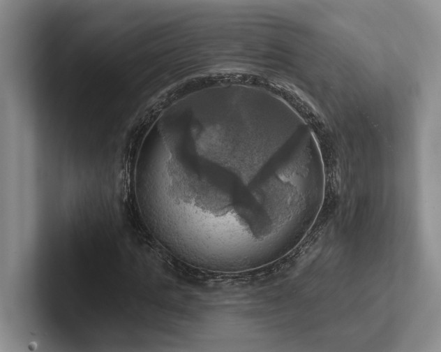 X0000102500821200808081347