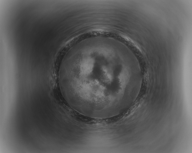 X0000102500822200808081347