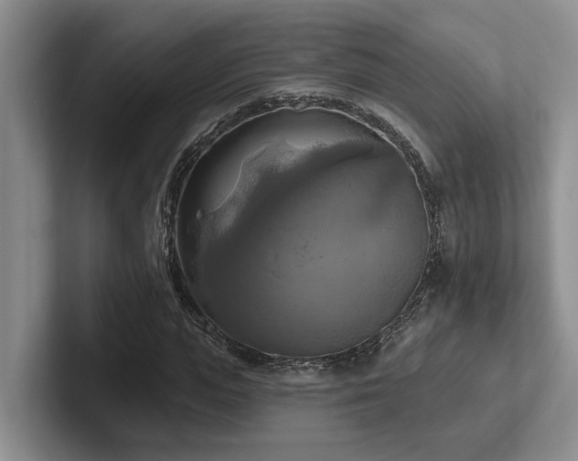 X0000102500823200808081347