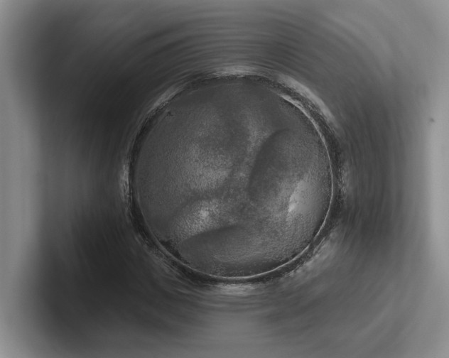 X0000102500825200808081347