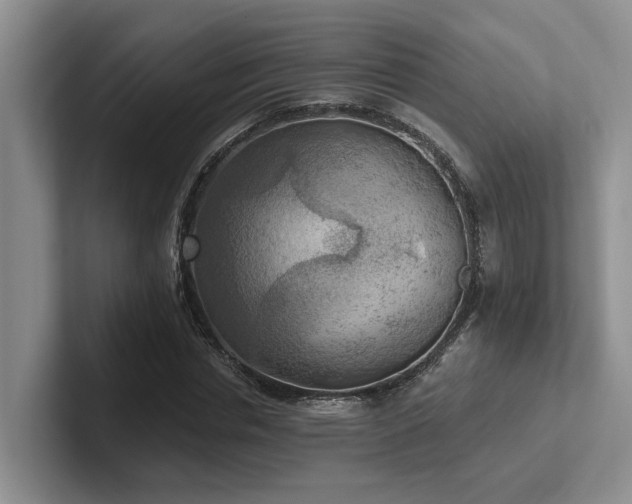 X0000102500826200808081347