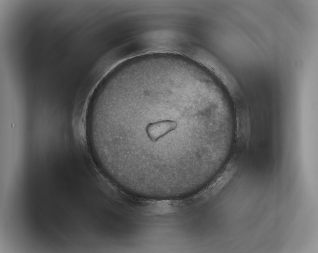 X0000102500828200808081347