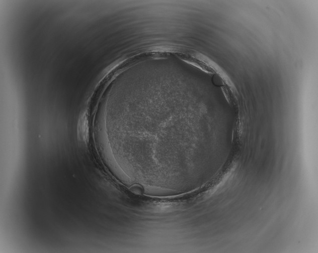 X0000102500829200808081347