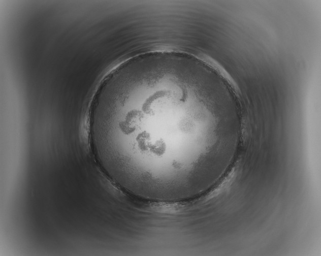 X0000102500831200808081347