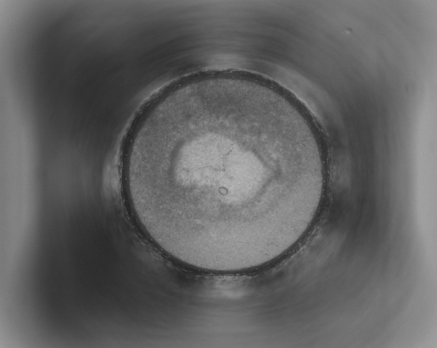 X0000102500832200808081347
