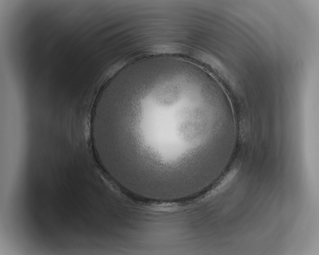 X0000102500833200808081347