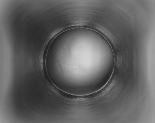 X0000102500834200808081347