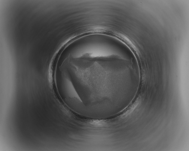X0000102500835200808081347