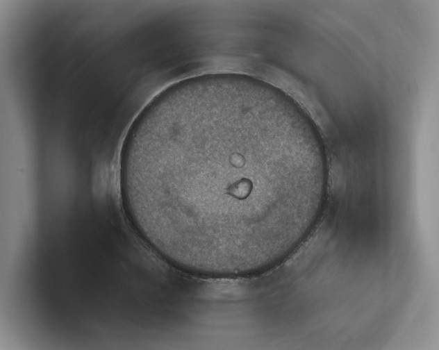 X0000102500836200808081347