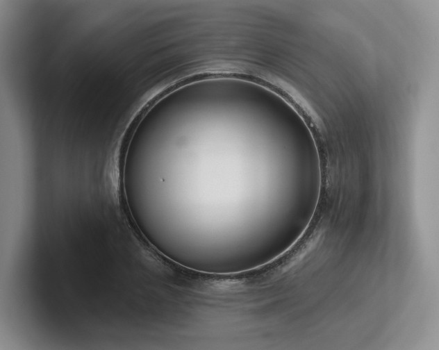 X0000102500837200808081347