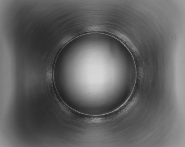 X0000102500841200808081347