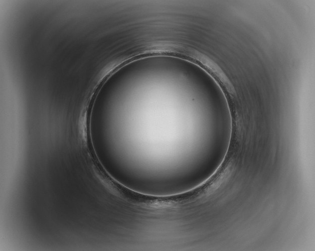 X0000102500842200808081347