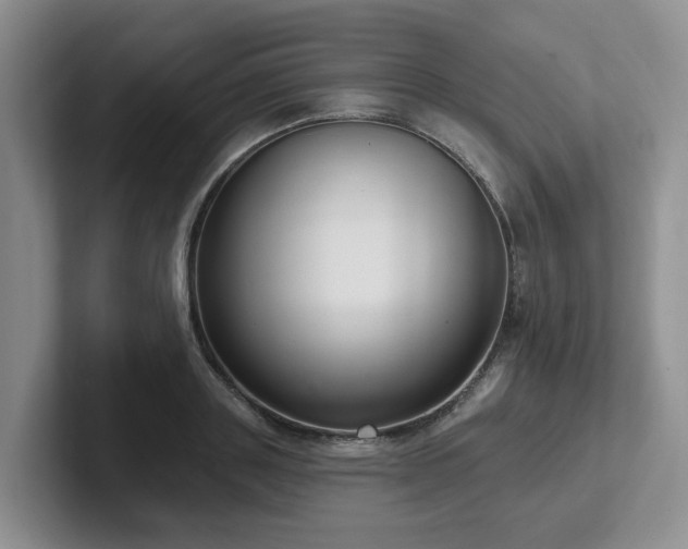 X0000102500843200808081347