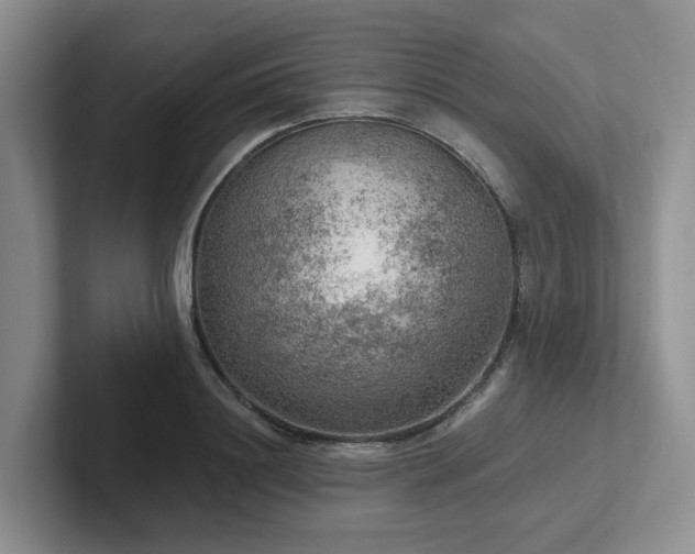 X0000102500844200808081347