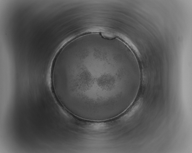 X0000102500845200808081347