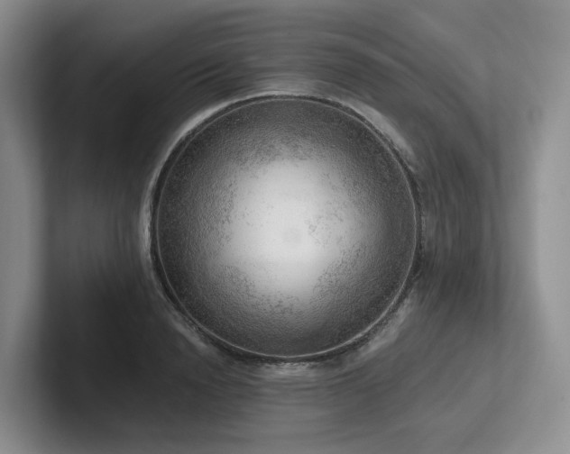 X0000102500846200808081347
