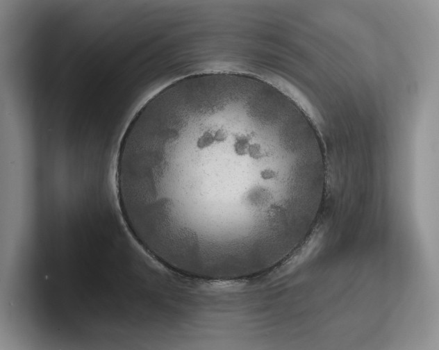 X0000102500847200808081347