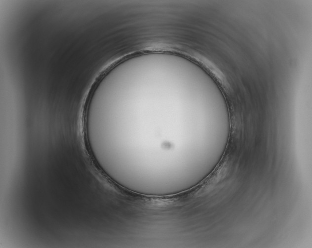 X0000102500848200808081347