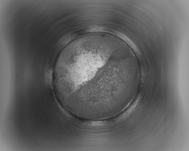 X0000102500849200808081347