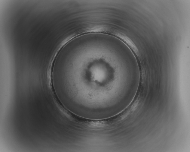 X0000102500850200808081347